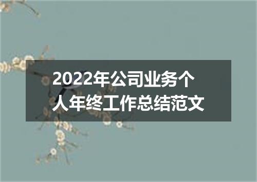 2022年公司业务个人年终工作总结范文