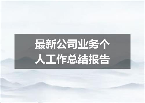 最新公司业务个人工作总结报告