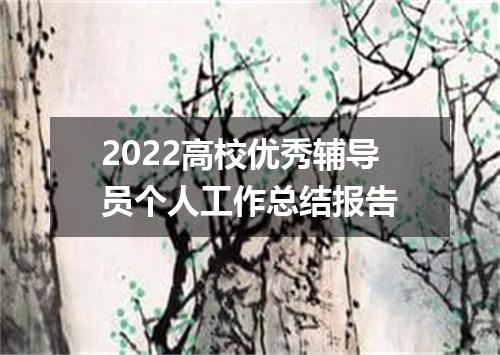 2022高校优秀辅导员个人工作总结报告