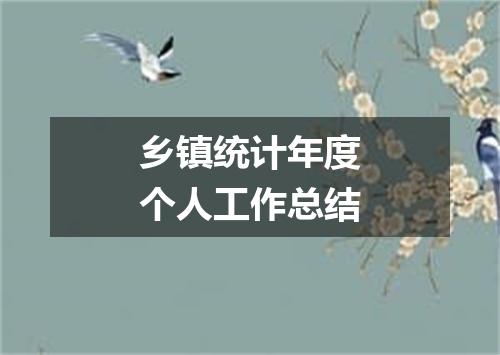 乡镇统计年度个人工作总结