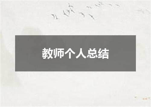 教师个人总结