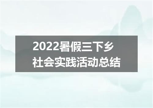 2022暑假三下乡社会实践活动总结