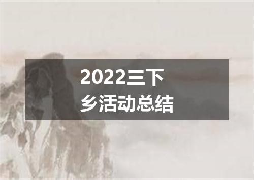 2022三下乡活动总结