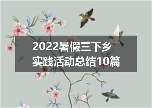 2022暑假三下乡实践活动总结10篇