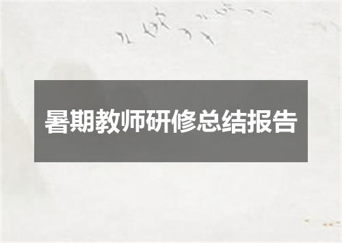 暑期教师研修总结报告