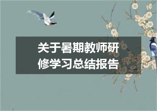关于暑期教师研修学习总结报告