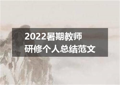 2022暑期教师研修个人总结范文