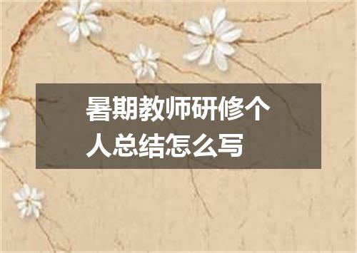 暑期教师研修个人总结怎么写