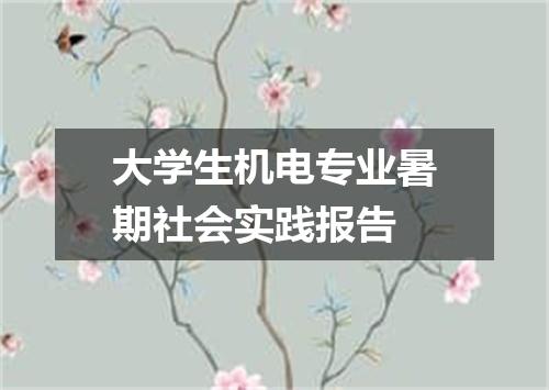 大学生机电专业暑期社会实践报告