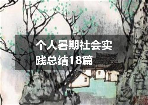 个人暑期社会实践总结18篇