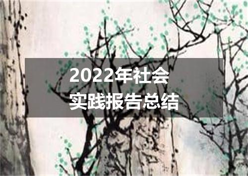2022年社会实践报告总结