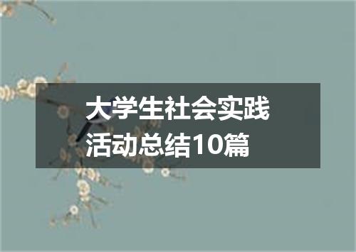 大学生社会实践活动总结10篇