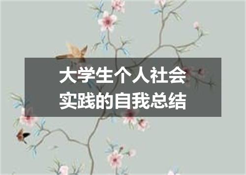 大学生个人社会实践的自我总结