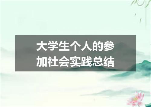 大学生个人的参加社会实践总结