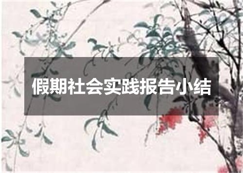 假期社会实践报告小结