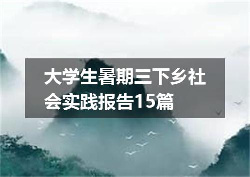 大学生暑期三下乡社会实践报告15篇