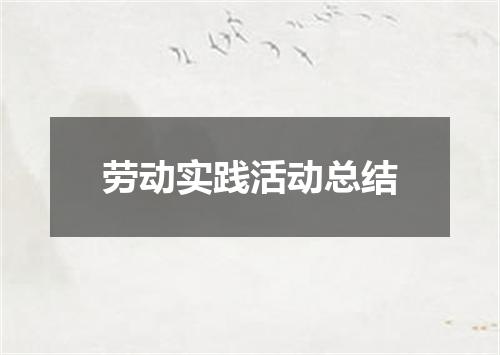 劳动实践活动总结