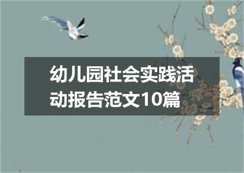 幼儿园社会实践活动报告范文10篇