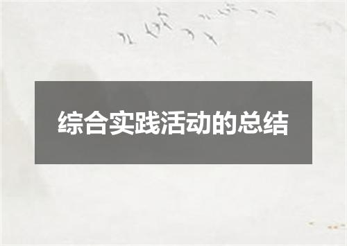 综合实践活动的总结