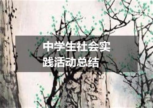 中学生社会实践活动总结