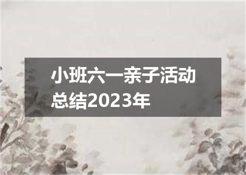 小班六一亲子活动总结2023年