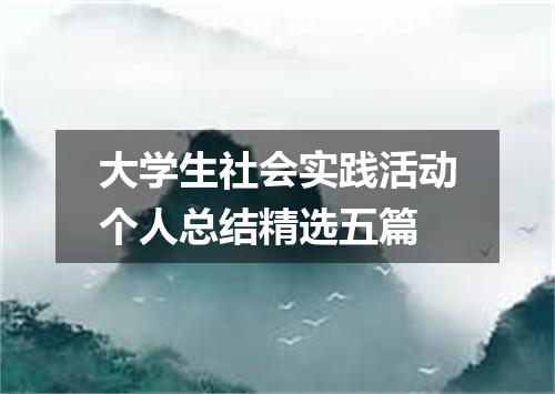 大学生社会实践活动个人总结精选五篇