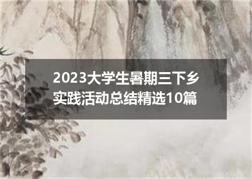 2023大学生暑期三下乡实践活动总结精选10篇