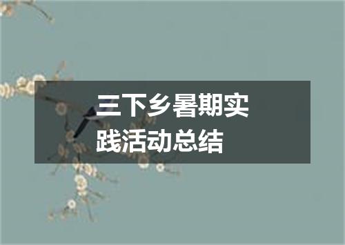 三下乡暑期实践活动总结