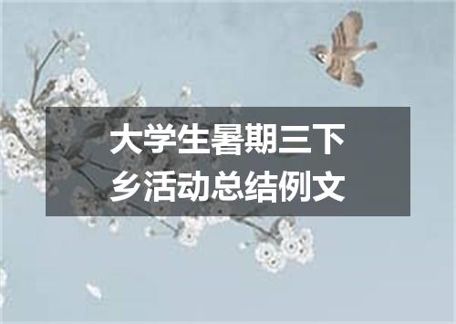 大学生暑期三下乡活动总结例文