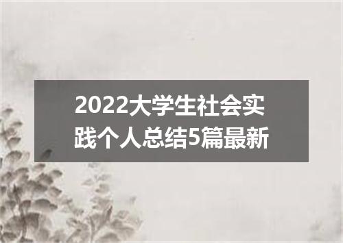 2022大学生社会实践个人总结5篇最新