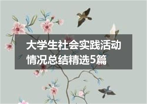 大学生社会实践活动情况总结精选5篇