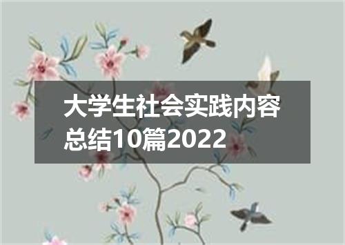 大学生社会实践内容总结10篇2022