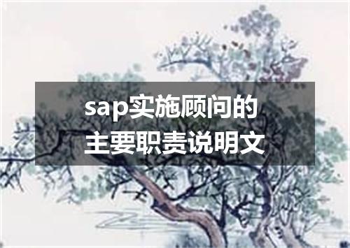 sap实施顾问的主要职责说明文