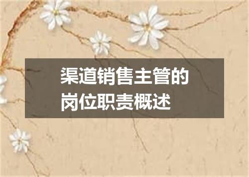 渠道销售主管的岗位职责概述