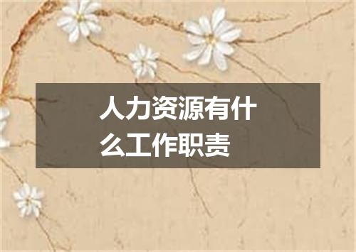 人力资源有什么工作职责