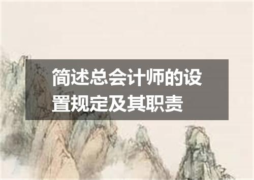 简述总会计师的设置规定及其职责