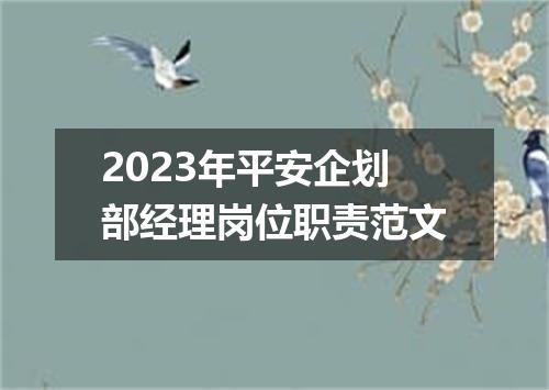 2023年平安企划部经理岗位职责范文