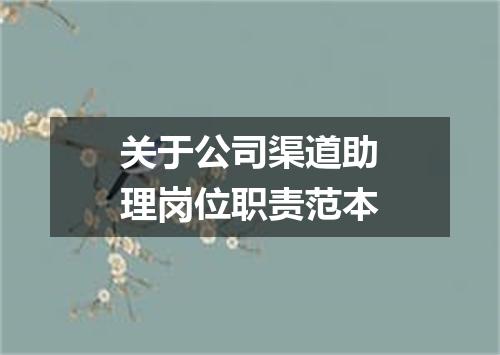 关于公司渠道助理岗位职责范本