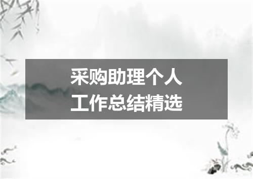 采购助理个人工作总结精选