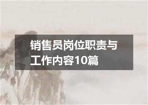 销售员岗位职责与工作内容10篇