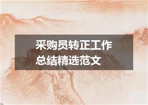 采购员转正工作总结精选范文