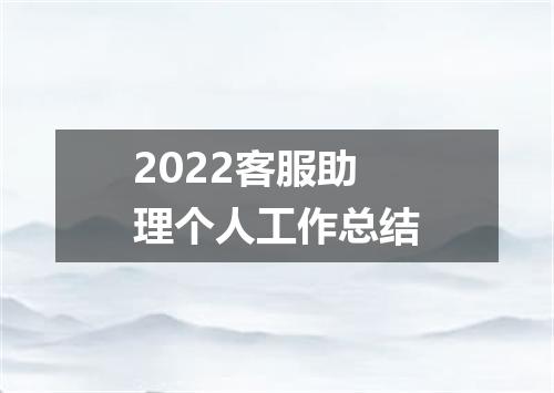 2022客服助理个人工作总结