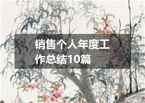 销售个人年度工作总结10篇