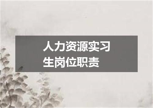 人力资源实习生岗位职责