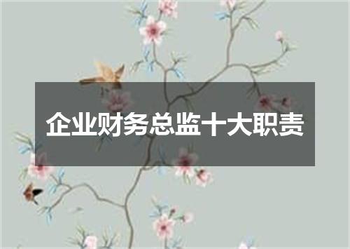 企业财务总监十大职责