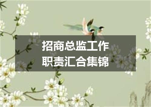 招商总监工作职责汇合集锦