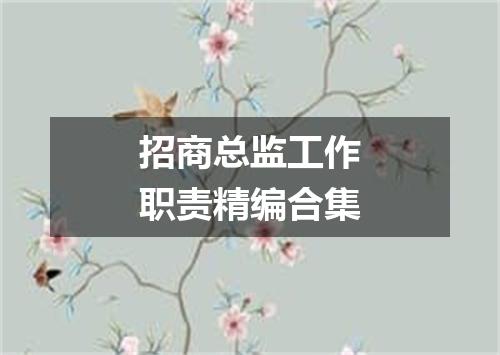 招商总监工作职责精编合集