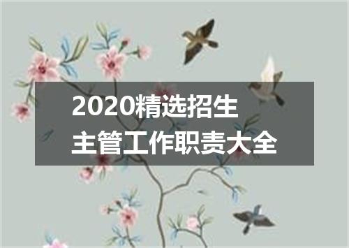 2020精选招生主管工作职责大全