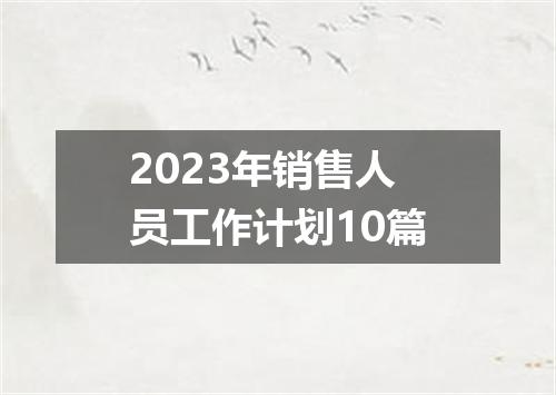 2023年销售人员工作计划10篇