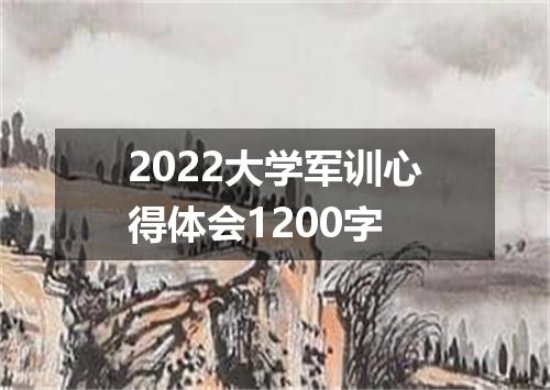 2022大学军训心得体会1200字